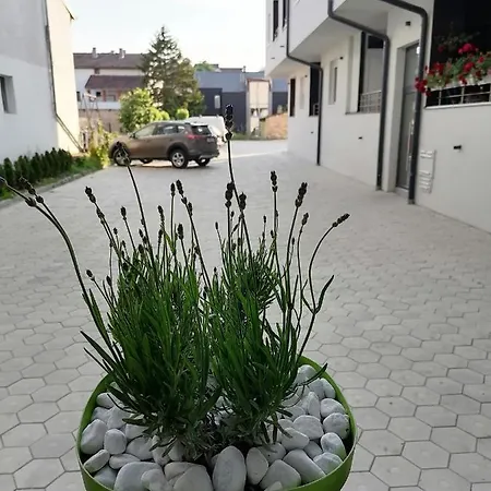 Apartment Stimac *